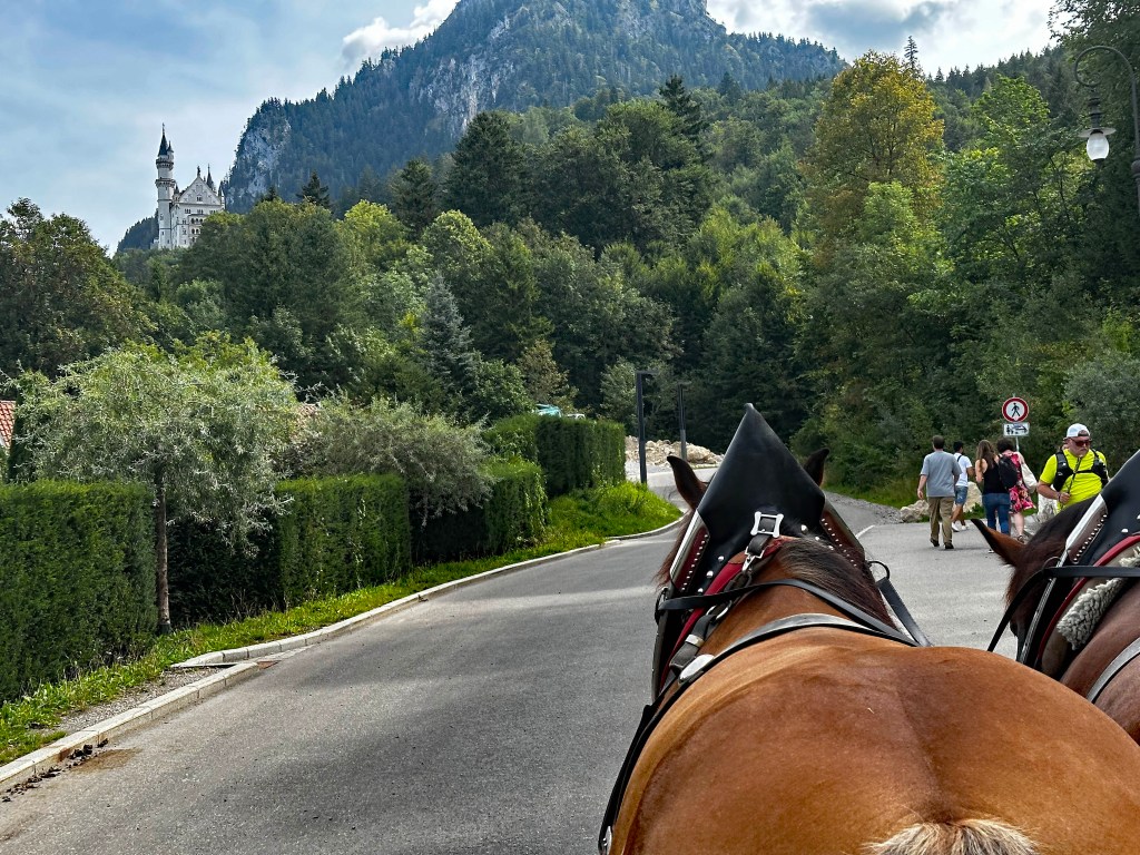 Neuschwanstein horses