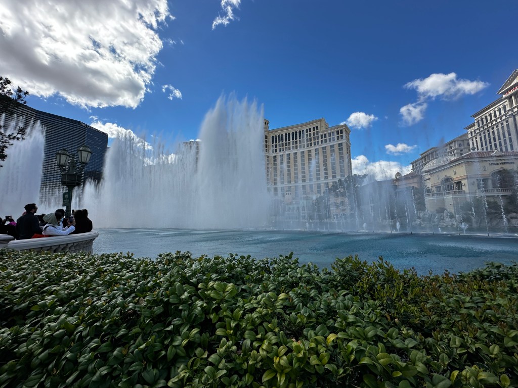 ducks-win-rv-goddess