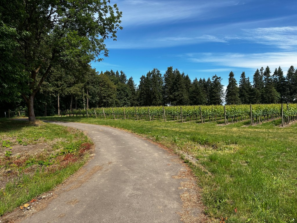 Evergreen Air Museum bike paths
