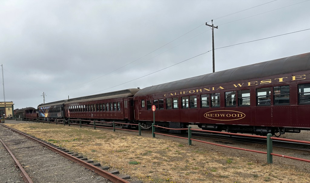 The Skunk Train