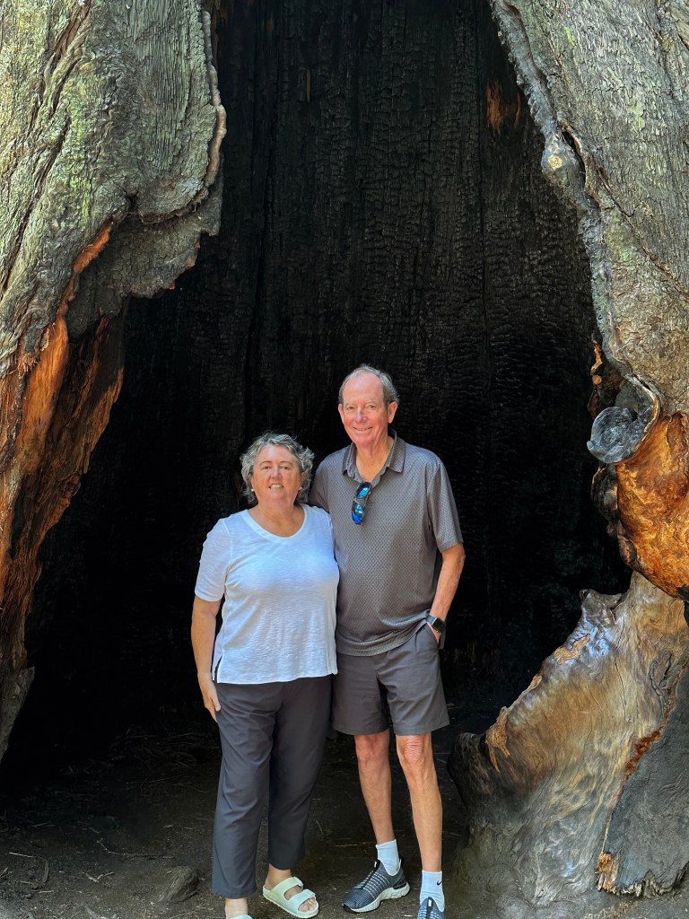 Avenue of the Giants
